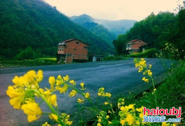 多虧鄉(xiāng)下婆婆來(lái)照顧兒媳，才知道家具甲醛超標(biāo)兒子決定搬家啦.jpg